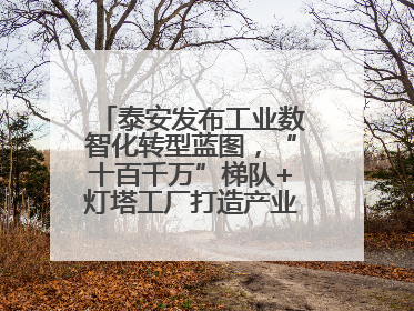 泰安发布工业数智化转型蓝图，“十百千万”梯队+灯塔工厂打造产业新标杆